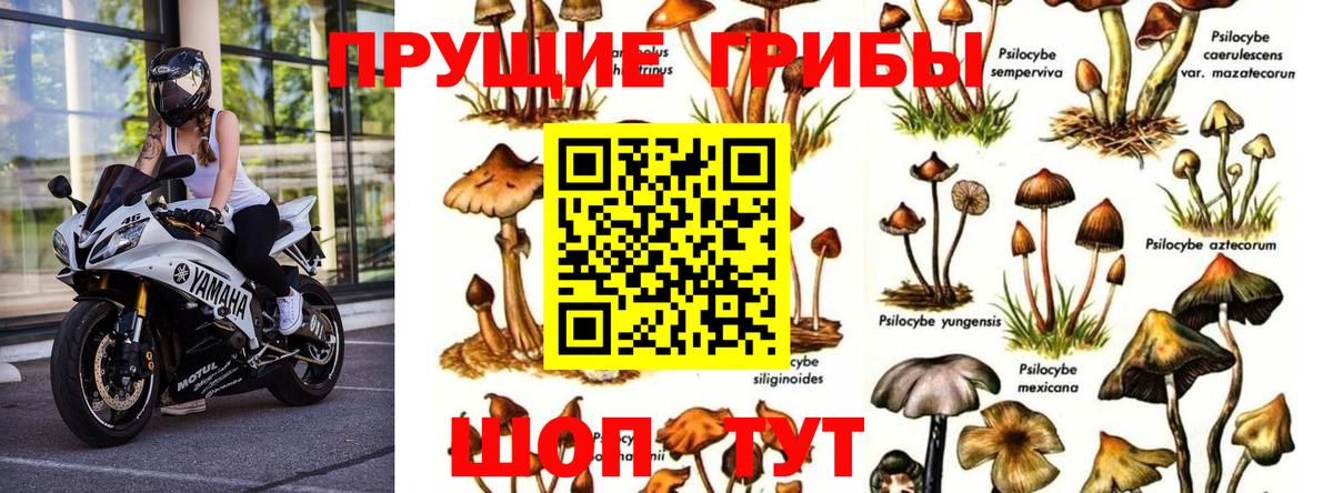 Галлюциногенные грибы Magic Shrooms Краснокаменск