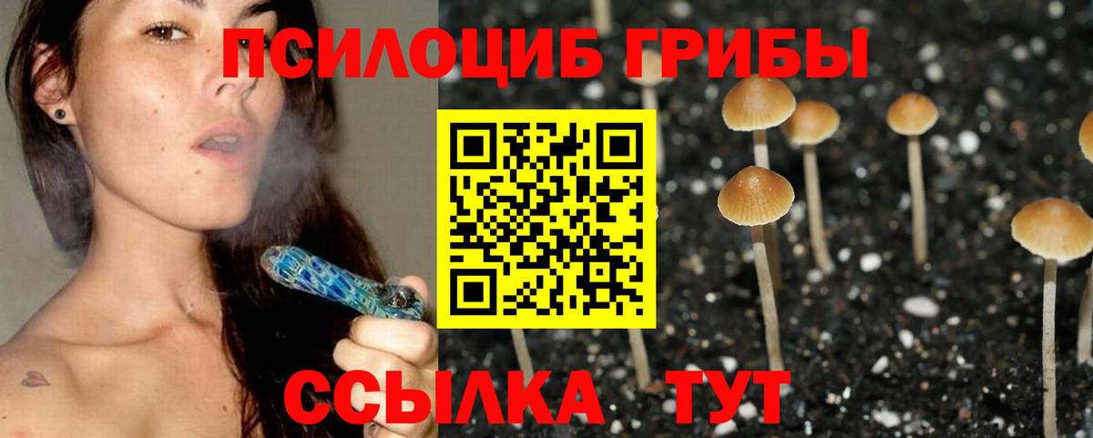 Краснокаменск  где можно купить наркотик  Вход с VPN  Галлюциногенные грибы мицелий 